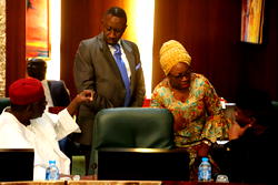 Maina: HoS, Kyari in verbal tango at FEC