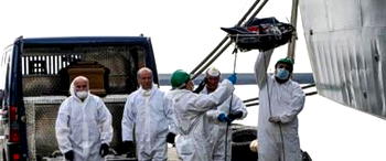 NASS probes death of 26 Nigerian women in Spanish warship
