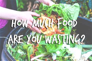 4 ways to prevent food from going to waste