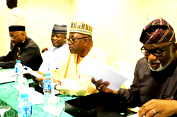 Govs, State Assemblies agree to hold public hearing on 1999 constitution