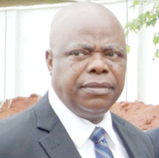 When Justice Umeadi reviewed the author of Blood on the Niger (2)