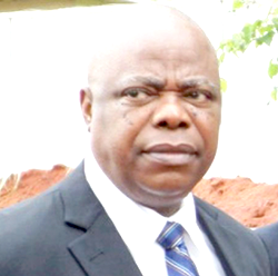When Justice Umeadi reviewed the author of Blood on the Niger (2)
