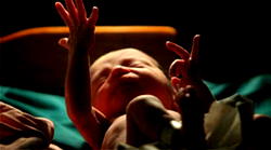 8-month-old baby found dead inside drum of water