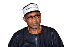 MAINA and 2019: Buhari’s anti-corruption legacy diminishing – Prof. Odekunle,