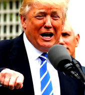 FBI agent, Strzok, who criticised Trump in text messages, is fired