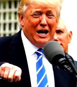 Trump moves to abolish birthright citizenship