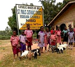 “Why I gave goats as prizes to outstanding students”