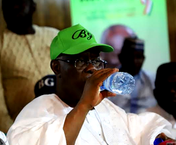 Bode George withdraws from PDP chairmanship race, accuses Wike of abusing the Yoruba