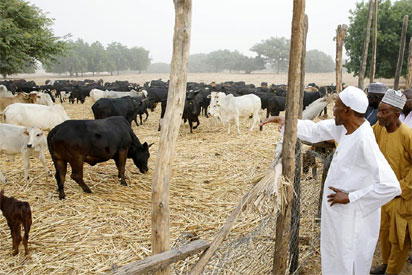 buhari inspecting2 I do not hate the Fulani race… by Fani-Kayode