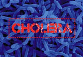 Adamawa Cholera outbreak extends to two more LGAs – Official