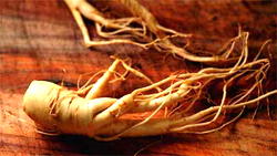 Exposed: 3,000 Year-Old “S3x Herbs” That is Helping Men Permanently Cure Weak Erection and Last Upto 48 Minutes In Bed.