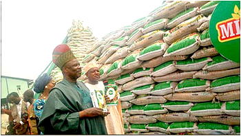 The Ogun Rice Revolution