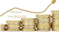Price increase slows to 15.9% in November — NBS