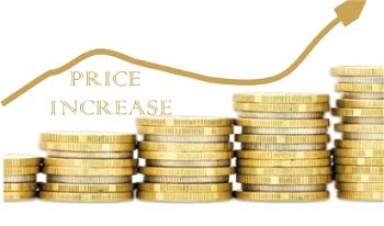 Price increase slows to 15.9% in November — NBS