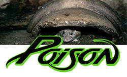 Housewife kills husband with ‘rat poison’ in Kano