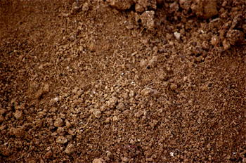 Futa don develops device for soil study, sustainability