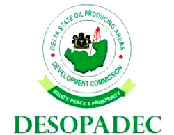DESOPADEC’ll focus on completion of ongoing projects —MD