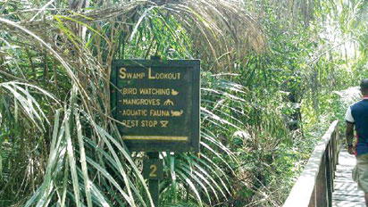 Erosion may wipe off Lekki Conservation Centre – DG