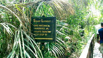 Erosion may wipe off Lekki Conservation Centre – DG