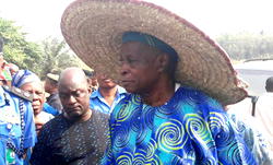 Burning of Falae’s farm: Angry Nigerians react