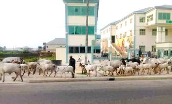 Herdsmen attack Senator Imoke’s community, kill one
