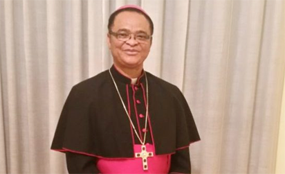 Catholic bishop laments Igbo marginalisation - Vanguard News