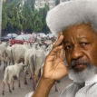 Ruga: Buhari should’ve lost at the polls — Soyinka