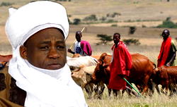Sultan indicts FG, security agencies over herdsmen killings