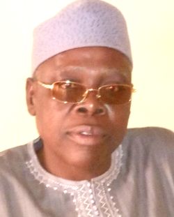 Kano Court grants Buhari’s campaigner bail