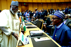African leaders endorse progress on Neglected Tropical Diseases