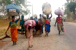 BENUE: The killings foretold and the ‘above the law’ herdsmen