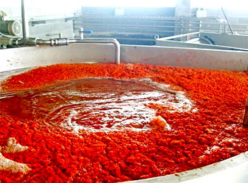 Curry market:  Foreign and local brands locked in supremacy battle