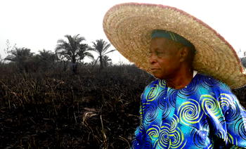 Herdsmen’s attack on Falae’s farm not a Presidency affair — Adesina