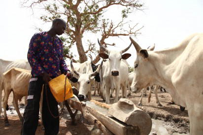 herdsmen Ohanaeze Ndigbo rejects grazing colonies