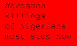 Another 16 reportedly killed in Benue, 49 corpses for mass burial