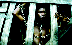 The vicious cycle of slave rearing