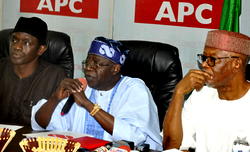2019: Bola Tinubu-led reconciliation committee will give APC victory – NASS member
