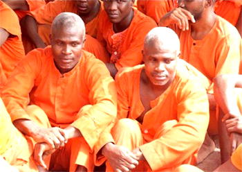 Troops kill 5 Boko Haram terrorists, recover arms in Borno