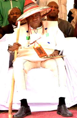 Ganduje visits Ibrahim little in Kaduna