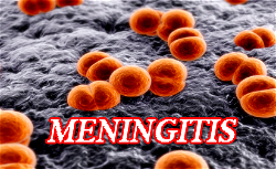 Breaking: Again, meningitis killed 8 in Katsina