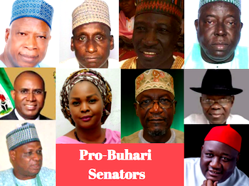 Order of elections: Pro-Buhari Senators face one year suspension