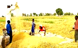 Japanese govt donates 20 rice reapers,20 threshers to Nasarawa farmers