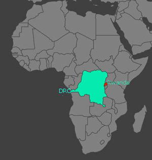 RwandAir is first African airline to try IATA travel pass