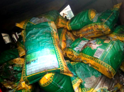 Pictures of rotten rice allocated to Edo IDPs