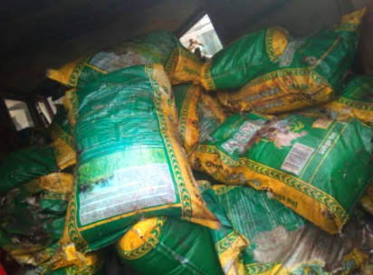 Pictures of rotten rice allocated to Edo IDPs