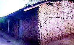 Termites invade C’River school, damage building, community cries out to Gov Ayade