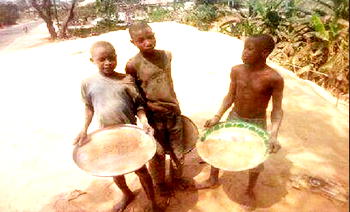 Needy C-River school kids risk infection sieving rice chaff