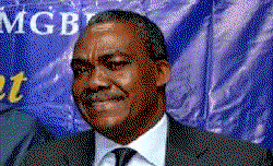 OFILI-OKONKWO: Never worked for anyone, taking millions out of poverty