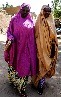 Dapchi: Mass abduction of girls shouldn’t have been allowed – Dogara