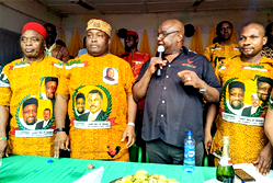 Ifeanyi Ubah declares for senate